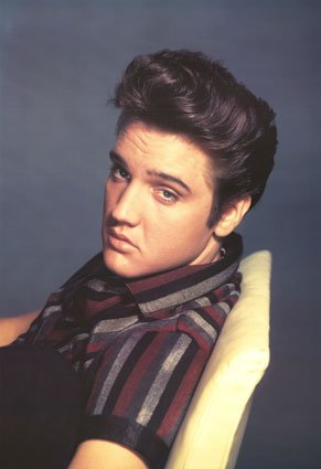 The Elvis Presley Discography On 2 DVDRs Contains The Complete CDS